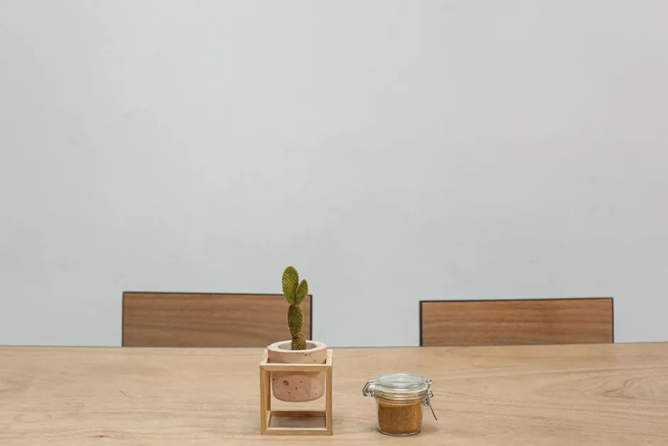 Chậu cây mini đặt trên bàn ăn gần khu bếp