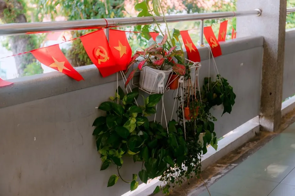 Các chậu cây rủ treo trên ban công căn hộ hẹp